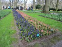 Lisse-Keuckenhof &ndash; &copy; Gisela Gerlach (Eberhardt TRAVEL)