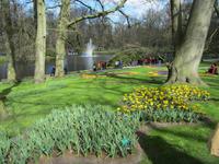 Lisse-Keuckenhof &ndash; &copy; Gisela Gerlach (Eberhardt TRAVEL)
