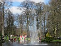Lisse-Keuckenhof &ndash; &copy; Gisela Gerlach (Eberhardt TRAVEL)