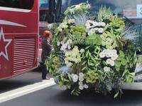 Lisse-Blumenkorso &ndash; &copy; Gisela Gerlach (Eberhardt TRAVEL)