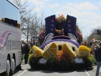 Lisse-Blumenkorso &ndash; &copy; Gisela Gerlach (Eberhardt TRAVEL)