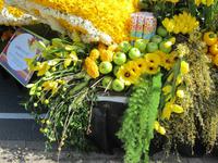 Lisse-Blumenkorso &ndash; &copy; Gisela Gerlach (Eberhardt TRAVEL)