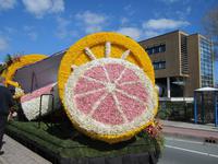 Lisse-Blumenkorso &ndash; &copy; Gisela Gerlach (Eberhardt TRAVEL)