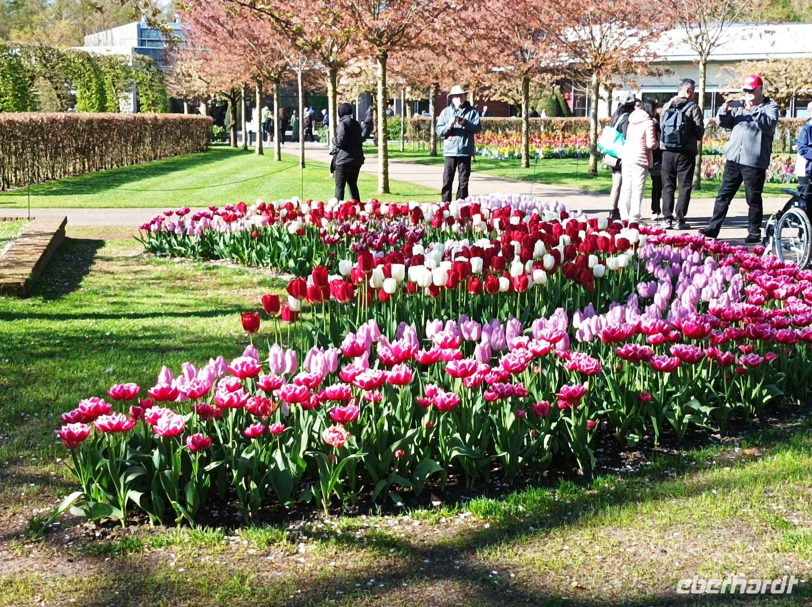 Keukenhof &ndash; &copy; Gisela Gerlach (Eberhardt TRAVEL)