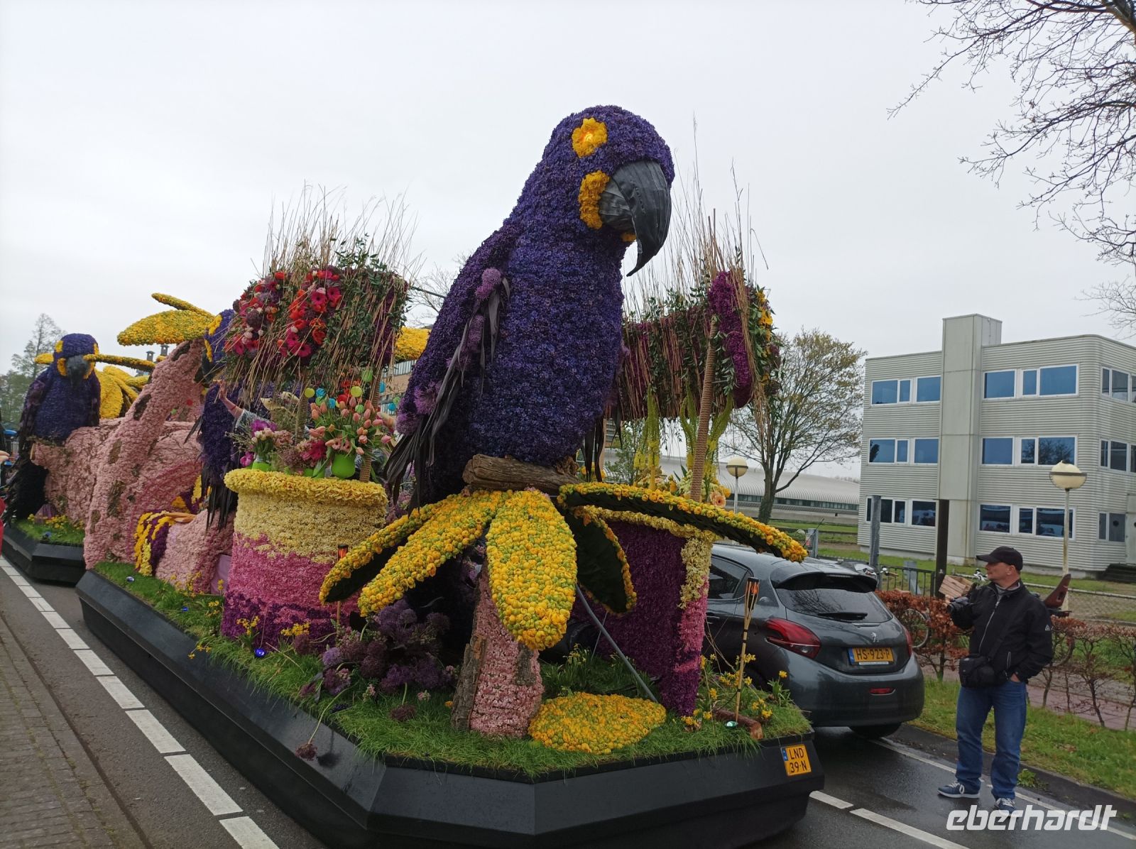 Blumenkorso &ndash; &copy; Gisela Gerlach (Eberhardt TRAVEL)
