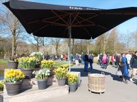 Keukenhof
