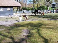 Keukenhof &ndash; &copy; Gisela Gerlach (Eberhardt TRAVEL)