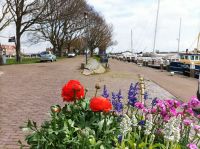 Enkhuizen &ndash; &copy; Gisela Gerlach (Eberhardt TRAVEL)