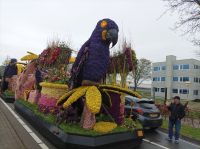 Blumenkorso &ndash; &copy; Gisela Gerlach (Eberhardt TRAVEL)