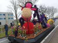 Blumenkorso &ndash; &copy; Gisela Gerlach (Eberhardt TRAVEL)