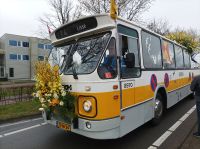 Blumenkorso &ndash; &copy; Gisela Gerlach (Eberhardt TRAVEL)
