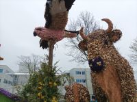 Blumenkorso &ndash; &copy; Gisela Gerlach (Eberhardt TRAVEL)