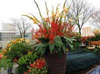 Blumenkorso &ndash; &copy; Gisela Gerlach (Eberhardt TRAVEL)