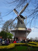 Windmühle im Keukenhof... &ndash; &copy; Hartwig Köllner (Eberhardt TRAVEL)