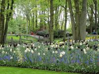 Keuklenhof &ndash; &copy; Gisela Gerlach (Eberhardt TRAVEL)