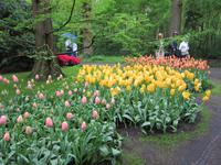 Keuklenhof &ndash; &copy; Gisela Gerlach (Eberhardt TRAVEL)