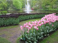 Keuklenhof