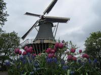 Keuklenhof &ndash; &copy; Gisela Gerlach (Eberhardt TRAVEL)