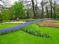 Keukenhof - prachtvolle Gestaltung &ndash; &copy; Hartwig Köllner (Eberhardt TRAVEL)
