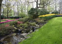 Keukenhof 7 &ndash; &copy; Sabine Krug (Eberhardt TRAVEL)