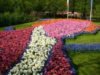 Blumenbild - Chopin