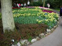 Keukenhof &ndash; &copy; Harald Kühne (Eberhardt TRAVEL)