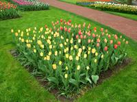 Im Keukenhof &ndash; &copy; Steffen Mucke (Eberhardt TRAVEL)