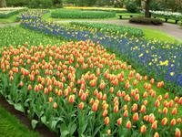 Im Keukenhof &ndash; &copy; Steffen Mucke (Eberhardt TRAVEL)