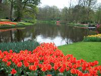 Im Keukenhof &ndash; &copy; Steffen Mucke (Eberhardt TRAVEL)