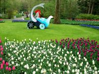 Im Keukenhof &ndash; &copy; Steffen Mucke (Eberhardt TRAVEL)