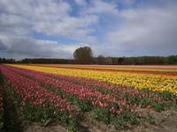 Farbige Pracht &ndash; &copy; Karl-Heinz Meinig (Eberhardt TRAVEL)