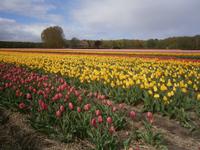 Farbige Pracht &ndash; &copy; Karl-Heinz Meinig (Eberhardt TRAVEL)