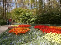 Blumen über Blumen