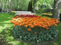 Keukenhof &ndash; &copy; Gisela Gerlach (Eberhardt TRAVEL)