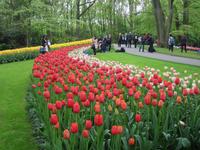 Keukenhof &ndash; &copy; Gisela Gerlach (Eberhardt TRAVEL)