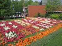 Keukenhof