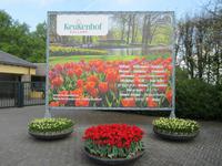 Lisse, Keukenhof 