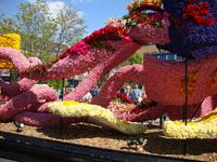 Blumencorso