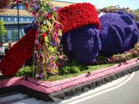 Blumencorso &ndash; &copy; Harald Kühne (Eberhardt TRAVEL)
