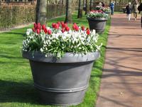 Keukenhof &ndash; &copy; Gisela Gerlach (Eberhardt TRAVEL)