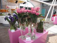 Keukenhof &ndash; &copy; Gisela Gerlach (Eberhardt TRAVEL)