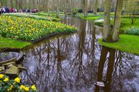 059 Holland, Impressionen im Keukenhof &ndash; &copy; Konrad Füssel (Eberhardt TRAVEL)