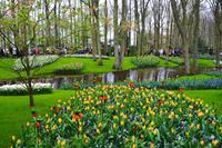 063 Holland, Impressionen im Keukenhof &ndash; &copy; Konrad Füssel (Eberhardt TRAVEL)