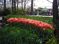 Keukenhof &ndash; &copy; Norbert Binder (Eberhardt TRAVEL)