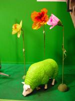 Flora Holland &ndash; &copy; Norbert Binder (Eberhardt TRAVEL)