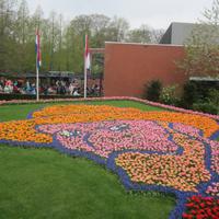 Keukenhof, Thema 2015 - Vincent van Gogh &ndash; &copy; Gisela Gerlach (Eberhardt TRAVEL)