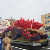 Blumencorso, Thema :200 Jaar Koninkrijk &ndash; &copy; Gisela Gerlach (Eberhardt TRAVEL)