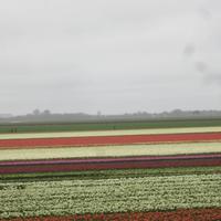 Von Hoorn nach Medemblik mit der Museumsbahn &ndash; &copy; Gisela Gerlach (Eberhardt TRAVEL)