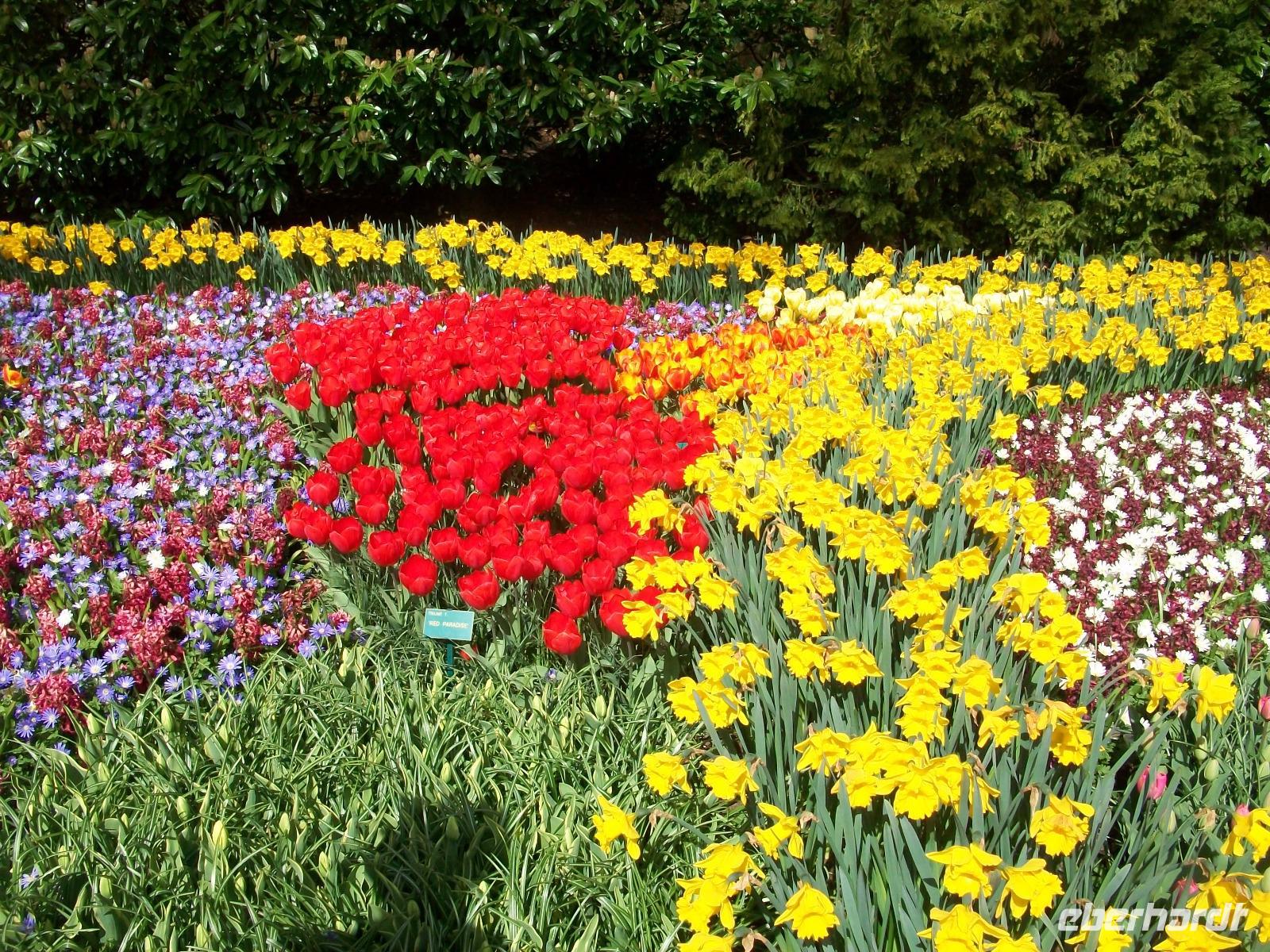 Im Keukenhof &ndash; &copy; Steffen Mucke (Eberhardt TRAVEL)