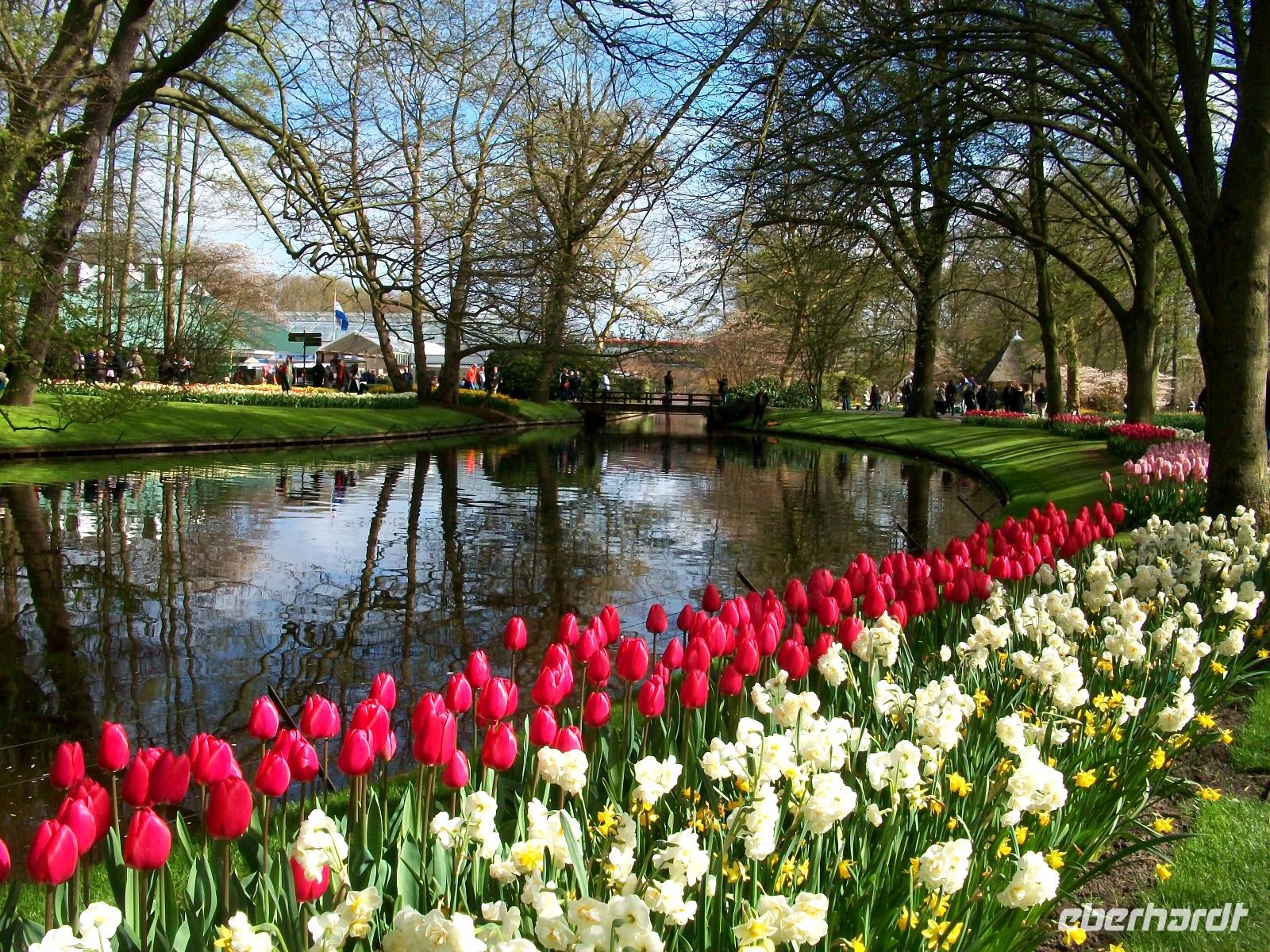 Im Keukenhof &ndash; &copy; Steffen Mucke (Eberhardt TRAVEL)